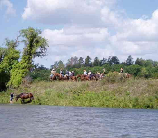 Horseback Riders below Berry Bridge