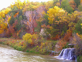 Berry Falls