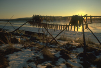 Image of fish drying on rack during the winter time Image of fish drying on rack during the winter time