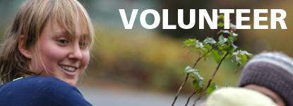 Volunteer
