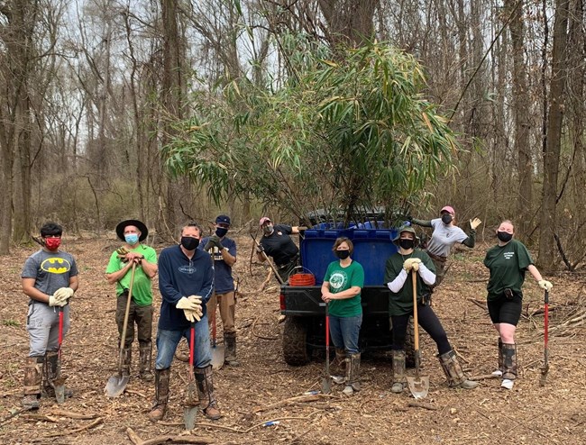 Volunteers and Park Staff pose for a picture with potted rivercane.