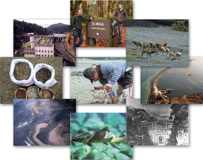 Collage of the various aspects of the Elwha Ecosystem Restoration