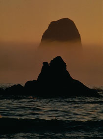 Seastacks during a foggy sunset