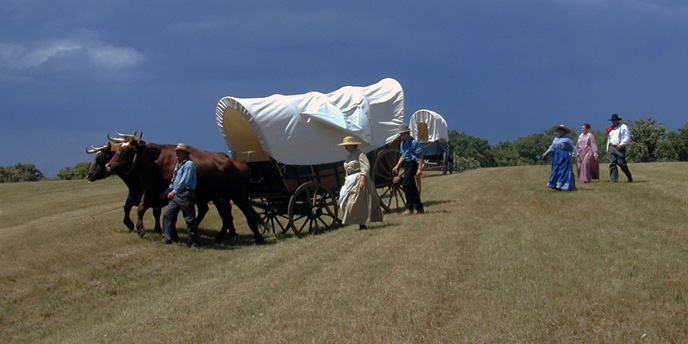An emigrant wagon crosses a grassy field with two oxen and people walking beside it.