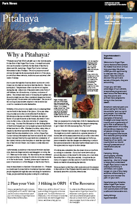 Park Newspaper