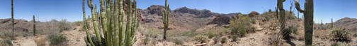 Bull Pasture Trail