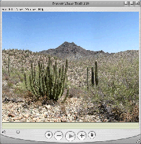QTVR Still Image