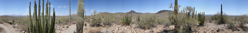 Desert View Trail