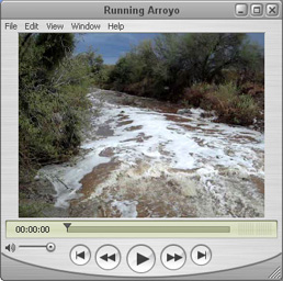 Running Arroyo
