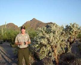 Jumping Cholla