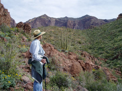 If the trail seems steep, the view is worth it.&nbsp;  Photo of a hiker on Bull Pasture Trail.