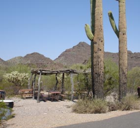 A picnic area near the Kris Eggle Visitor Center.  Nearly all the picnic areas in the park are designed to be easily accessible.
