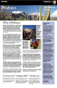 Park Newspaper