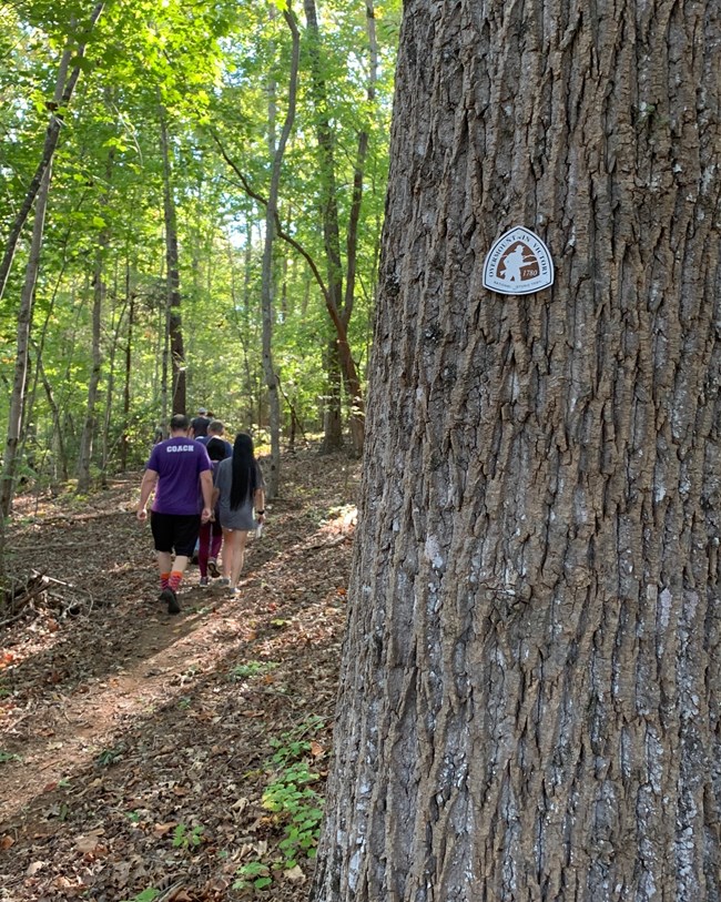 Hikers pass a tree with a ID tag on it