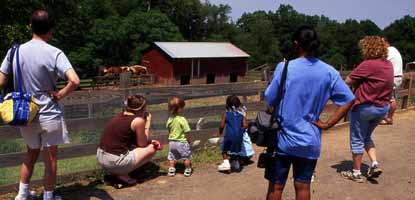 visitors on self guided tour