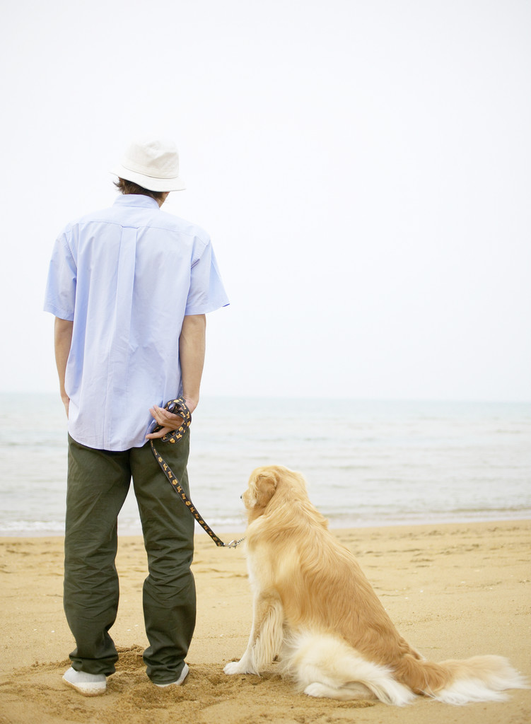 Please keep your pet on a leash while you are in the park.