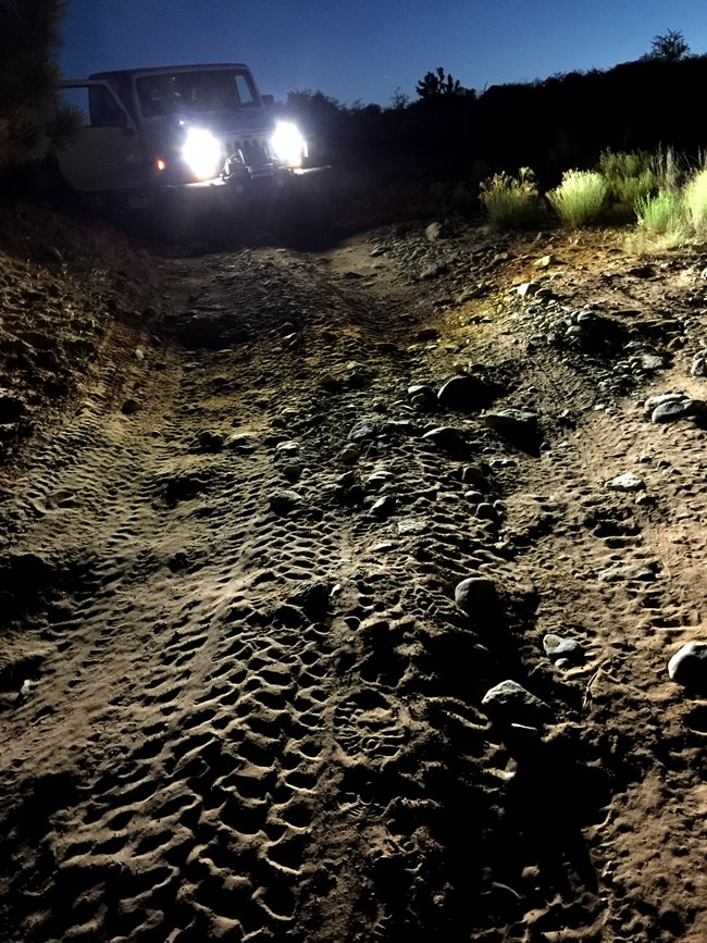 Jeep and tire tracks at night
