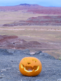 Jack of the Painted Desert