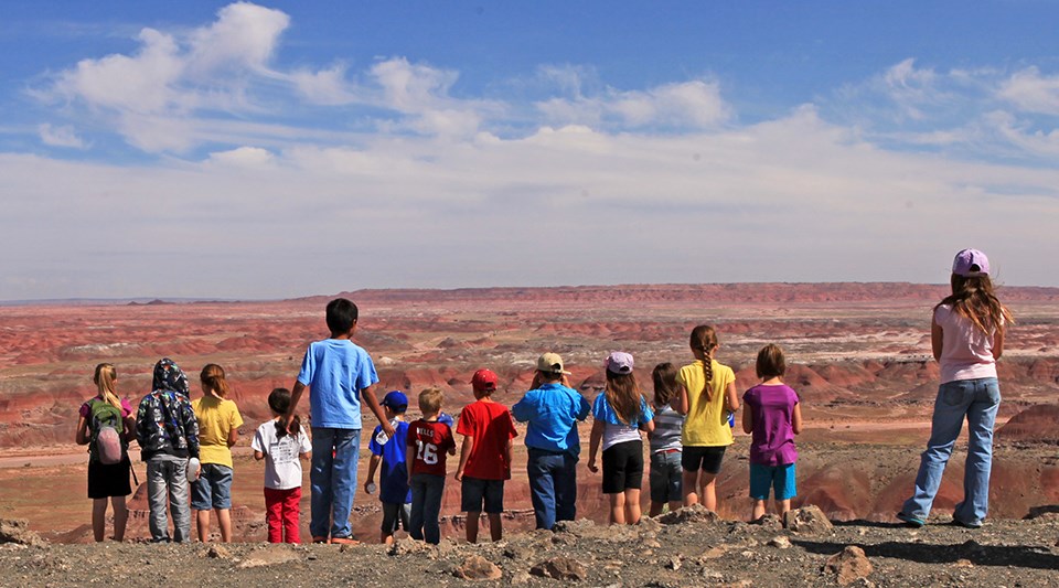 Students overlook the red part of the Painted Desert