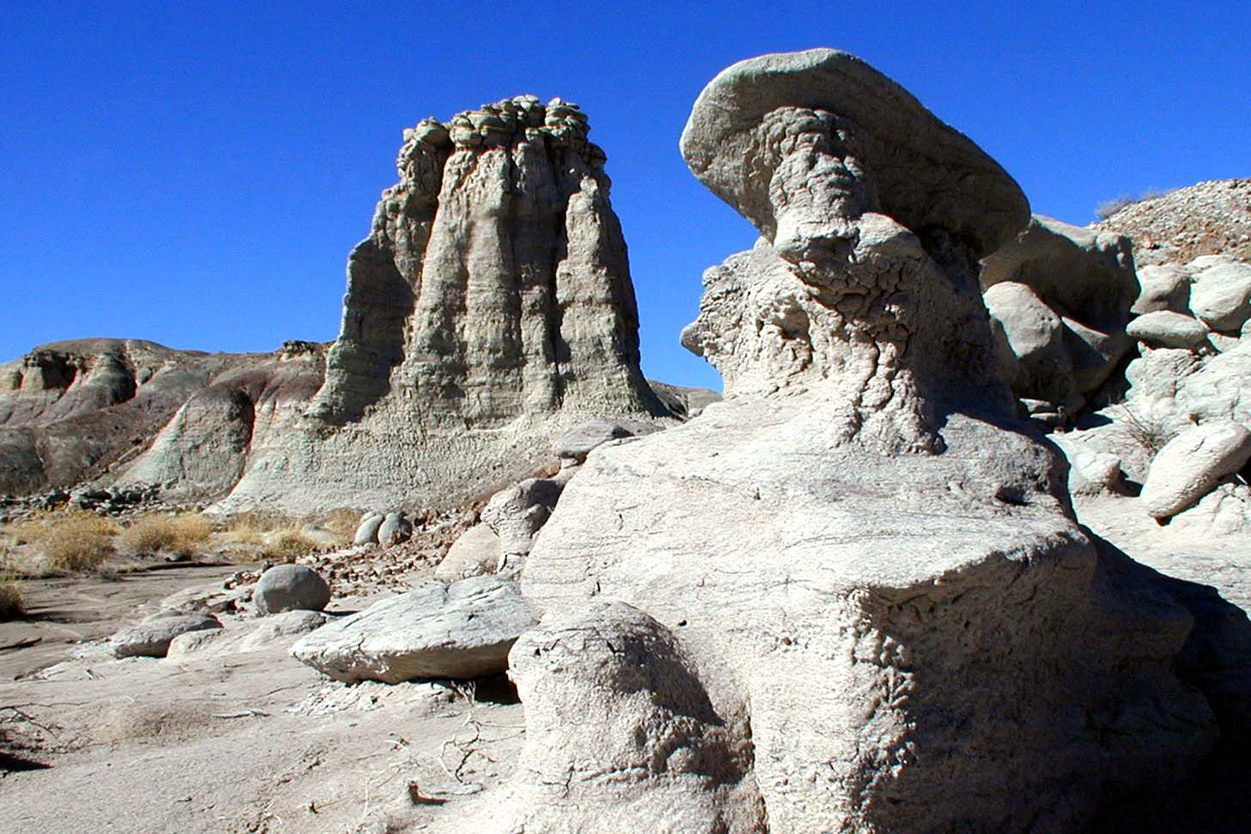 Scenics - Petrified Forest National Wilderness Area Devil's Playground