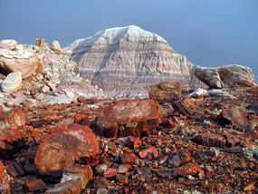pieces of petrified wood tumbling down hillside