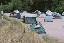 group site at Pinnacles Campground