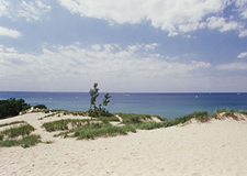 This is the spectacular view of Lake Michigan from atop Mt. Baldy on the Indiana Dunes National Lakeshore.