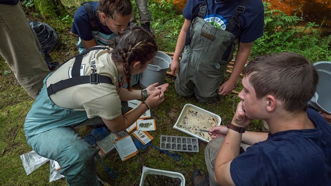 4 individuals crouched in a circle on the ground. 1 individual is holding a bug in the palm of her hand, while the 3 other individuals look at her hand.