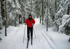 Cross country skier surrounded by the forest and snow.