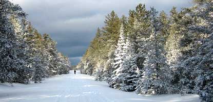 A cross-country skier on Miners Beach Road.