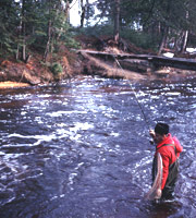 A fisherman tries his luck on the Miners River.