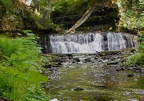 Mosquito Falls drops over an eight foot rock ledge into the Mosquito River.