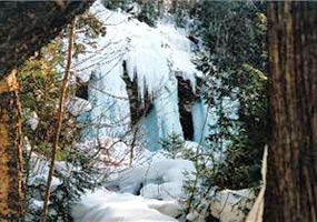 Spectacular ice columns shine along the trees.