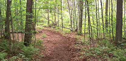 The trail to Sevenmile Creek invites hikers to explore the north country.