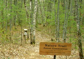 The White Birch Nature Trail begins at Twelvemile Beach Campground.