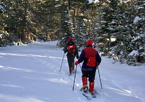 Two visitors trek through the snow covered forest on snowshoes.
