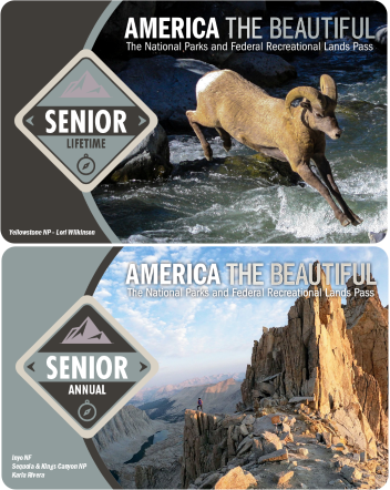 The Interagency Senior Lifetime Pass and the 2023 Interagency Senior Annual Pass stacked. Photo on the IA Senior Lifetime Pass is by Lori Wilkinson. Photo on the 2023 IA Senior Annual Pass is by Karla Rivera.