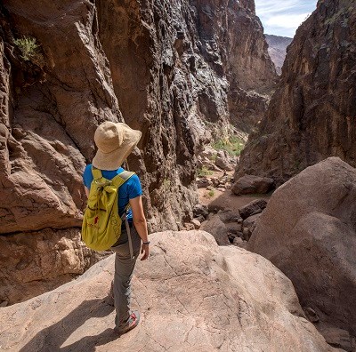Hiker in a canyon