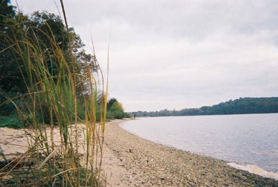 a beach and the river in Southern Maryland