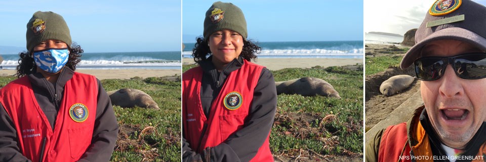 Two photos of an intern and a photo of a Winter Wildlife Docent at Drakes Beach with elephant seals in the background.