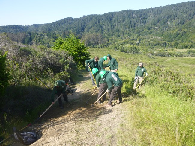Seven young adults dressed in dark green hoodies and green hard hats perform trail maintenance.