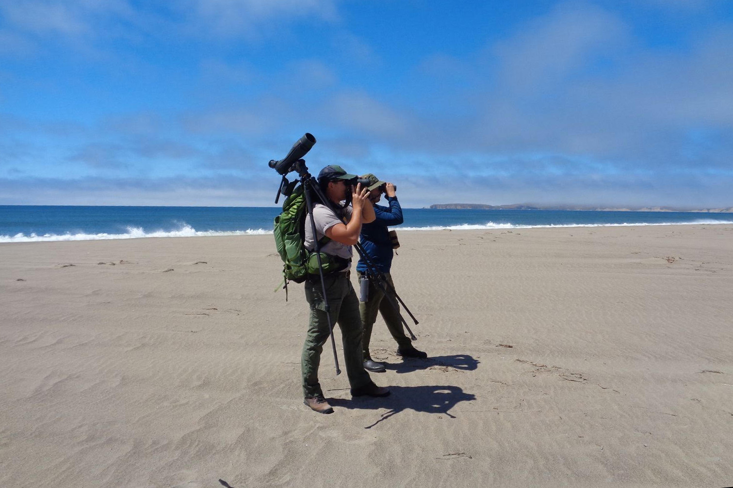 A photo of an NPS employee and another person standing on a beach while looking through binoculars.