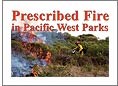 A small image of the cover of the 2004 Prescribed Fire in Pacific West Parks newspaper, featuring a photo of the a wildland fire fighter igniting a prescribed fire in a bushy habitat.