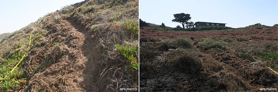 Two photos. On the left, a handline dug on a hillside to create a fire break in low-growing vegetation. On the right, a green building sits a short distance from the edge of burned vegetation.