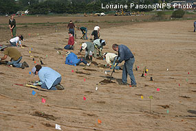 Volunteers from the community enjoy a beautiful November day planting along Lagunitas Creek.