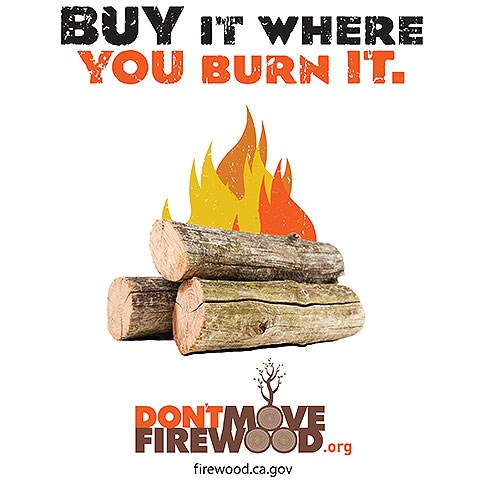 Cartoon of burning wood with the words "Buy It Where You Burn It" above and "don'tmovefirewood.org" below
