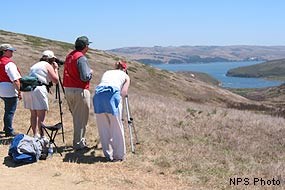 Tule Elk Docents with visitors at Windy Gap, Tomales Point, Point Reyes National Seashore