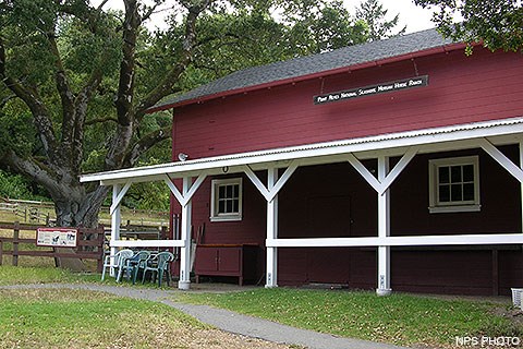The Morgan Horse Ranch Barn. A red barn with white trim with a large oak tree on the left.