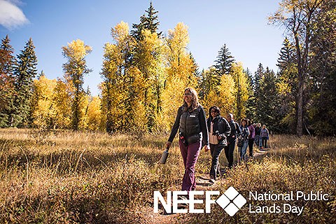 Nine people walk single-file along a trail through a meadow surrounded by trees with yellow leaves.