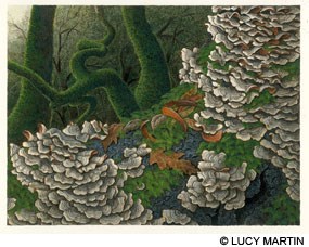 Painting: "Turkey Tails with Oak Trees" © Lucy Martin 2016.